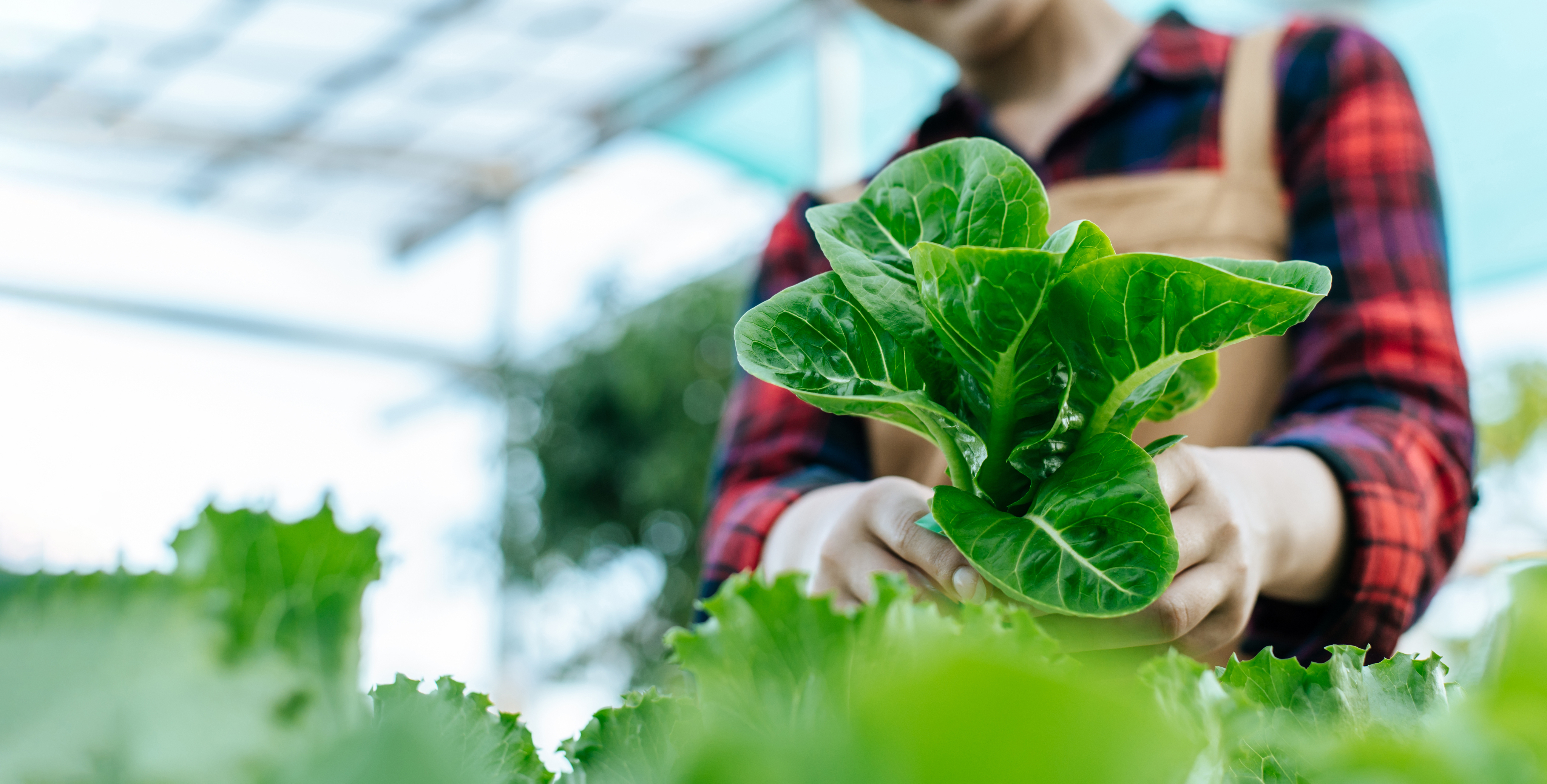 Подсобное хозяйство