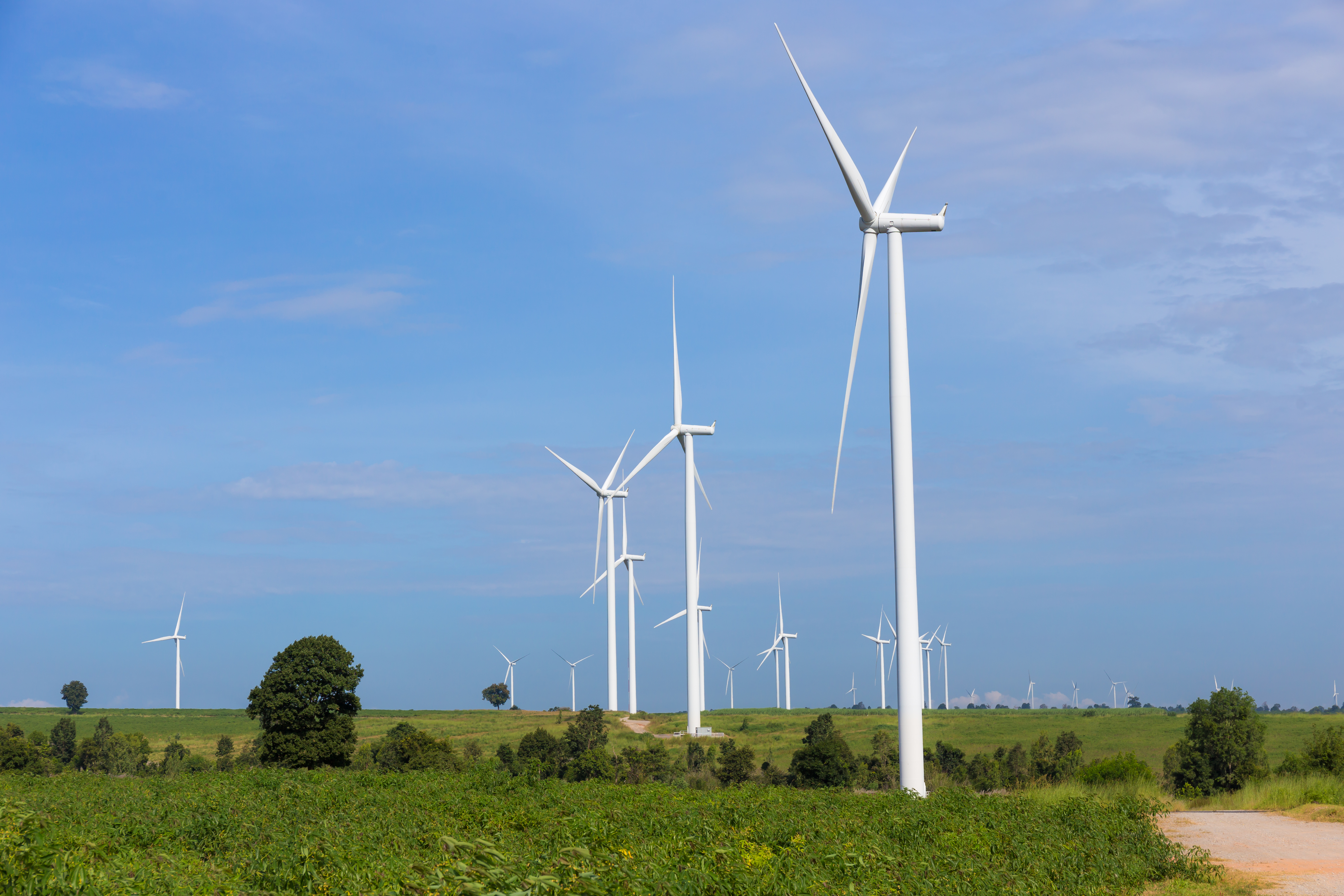 eco_power_wind_turbine_green_grass_corn_field_blue_cloudy_sky.jpg