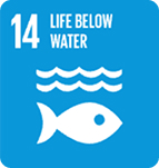 SDG 14