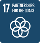 SDG 17