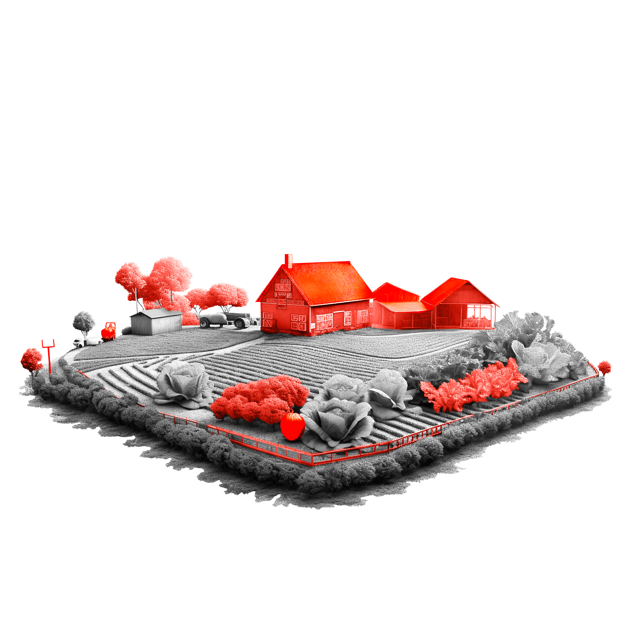 Банковская карта BRB